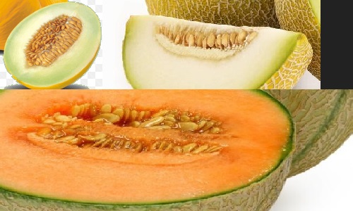 Sementes do Melão contra Celulite Benefícios Nutrientes Bem Estar