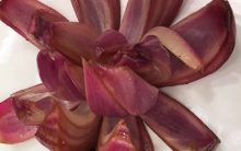Como Fazer Flor de Cebola – Receita, Temperos Usados e Nutrientes