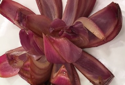 Como Fazer Flor de Cebola – Receita, Temperos Usados e Nutrientes