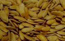 Como Fazer Orchata de Sementes de Melão para Tratar Celulite