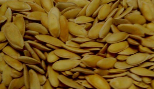 Como Fazer Orchata de Sementes de Melão para Tratar Celulite