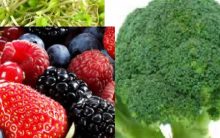 10 Alimentos da Mente – Cérebro e Memória Globo Repórter 15/07/16