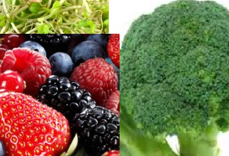10 Alimentos da Mente – Cérebro e Memória Globo Repórter 15/07/16