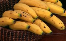 Chá para Dormir – Chá de Casca de Banana para Insônia