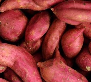 como-plantar-batata-doce-roxa-em-vasos-fazer-muda-