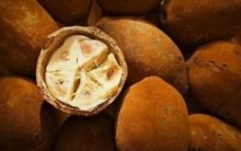 Cupuaçu e Cupulate – Nutrientes, Benefícios da Fruta e Receitas