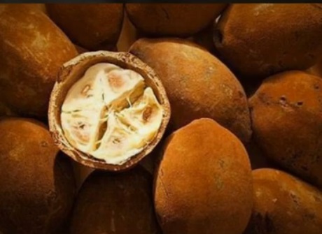 Cupuaçu e Cupulate – Nutrientes, Benefícios da Fruta e Receitas