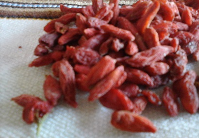goji-berry-desidratada-tudo-sobre