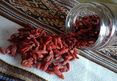 tudo-sobre-goji-berry-benefícios-da-fruta