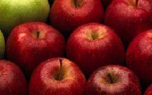 Benefícios da Maçã – Nutrientes e Uso no Combate de Doenças e Álcool