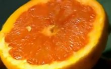 Frutas Ricas em Vitamina A e C – Dicas de Sucos para Gripe