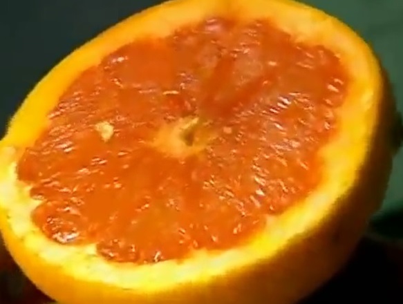 Frutas Ricas em Vitamina A e C – Dicas de Sucos para Gripe