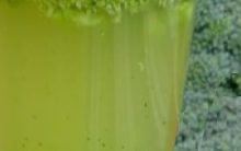 Suco de Brócolis Combate Câncer – Receitas Saudáveis e Saborosas para Dietas