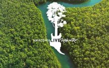 Amazonia Live, Rock in Rio: O que é, Como participar, Site do Projeto