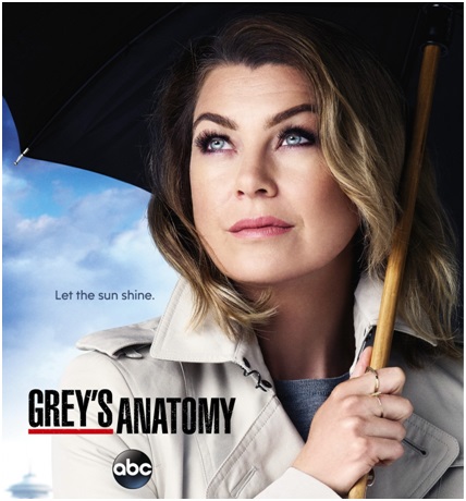 12ª Temporada de Grey’s Anatomy no Netflix  – Informações Séries da TV