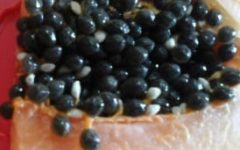 Benefícios do mamão – Como Usar Folhas, Flores, Raízes e Polpa como Remédio – Ver Nutrientes