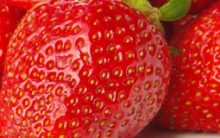 Creme de Morango Diet e Light – Receita de Sobremesa de Morango Sem Açúcar