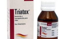 Triatox Acaba com Pulgas de Animais – Cuidados com o Pet e Ambiente Próximo