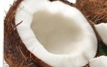 Suco de Coco Fresco – Receita Saudável com Coco e Leite Condensado