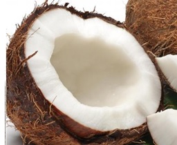 Suco de Coco Fresco – Receita Saudável com Coco e Leite Condensado