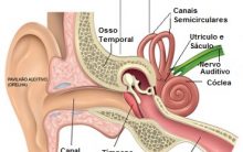 O Que é Labirintite – Como Tratar, Sintomas, Causas, Prevenção e Cuidados