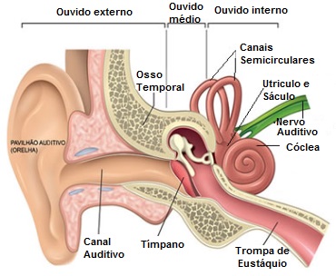 O Que é Labirintite – Como Tratar, Sintomas, Causas, Prevenção e Cuidados