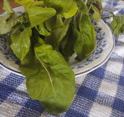 nutrientes-das-verduras-hortaliças-folhosas-rúcula folhas-de-rúcula-dicas-de-nutrientes-das-verduras
