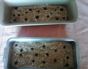 receita-de-pão-integral-de-liquidificador