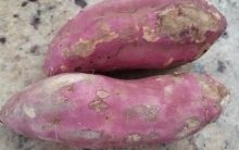 Vitaminas e Benefícios da Batata Doce – Porque a Batata Doce é um Alimento Funcional