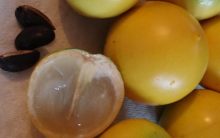 Abiu – Tudo Sobre as Vitaminas e Benefícios da Fruta Abiu ou Guapeva – Dicas de Remédios Caseiros
