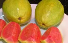 Benefícios da Goiaba – Nutrientes e Dicas de Remédios Caseiros com Folhas de Goiaba