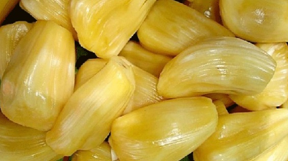 nutrientes-e-benefícios-da-jaca-para-saúde- benefícios-da-jaca-para-saúde-xarope-de-jaca-remédios-caseiros-