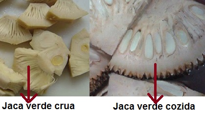 carne-de-jaca-verde-como-cozinhar- carne-de-jaca-verde-como-receita-pap-cozinhar-