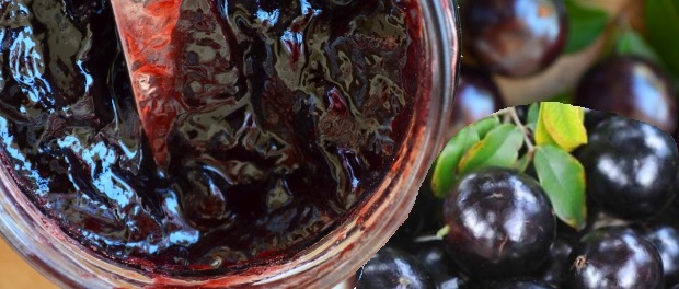Como Fazer Geleia de Jabuticaba – Receita Passo a Passo com Jaboticaba