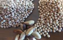 Função das Proteínas, Alimentos Ricos, Onde Encontrar, Perigos dos Excessos e Quantidade Ideal