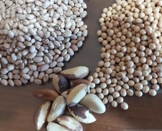 Função das Proteínas, Alimentos Ricos, Onde Encontrar, Perigos dos Excessos e Quantidade Ideal