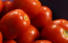 Como Fazer Molho de Tomate Caseiro – Receitas de Molhos com Tomate Fáceis de Fazer