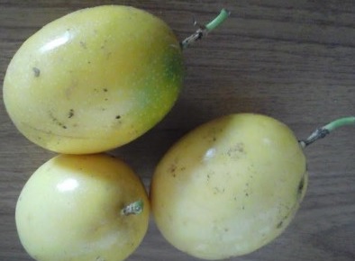 Suco Detox  com Maracujá, Couve, Limão e Gengibre pós Exageros – Como Fazer PAP