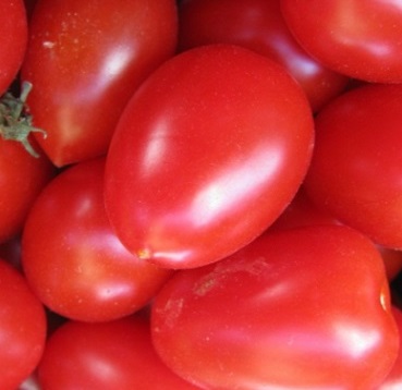 benefícios-do-tomate-para-saúde-dicas-de-remédios-caseiros- benefícios-do-tomate-para-saúde-como-plantar-tomate-