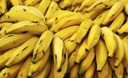 Alimentos Indicados para Tratar Gastrite – Dieta para Combater Dor de Estômago