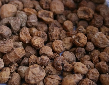 como-fazer-leite-vegetal-de-chufas-ou-amêndoa-da-terra leite vegetal-de-amêndoa-da-terra-horchata