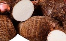 Opções de Leite Vegetal para Pessoas Intolerância a Lactose, Veganos e Vegetarianos