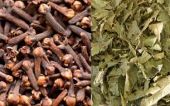 Emagrecer Rápido com Chá Verde e Cravo da Índia – Dica de Dieta para Emagrecer