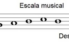 Escala Musical – O Que É, Formação e Tipos de Escala na Música – Teoria Musical Online