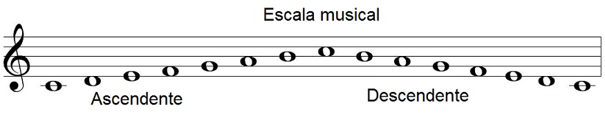 Escala Musical – O Que É, Formação e Tipos de Escala na Música – Teoria Musical Online