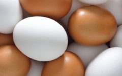 Como Fritar Ovo Sem Queimar a Clara – Nutrientes e Benefícios do Ovo