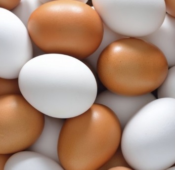 Como Fritar Ovo Sem Queimar a Clara – Nutrientes e Benefícios do Ovo