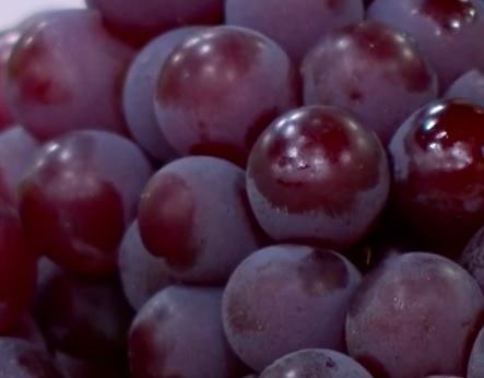 Dieta Antiinflamatória – Dica de Alimentos contra Inflamações que Fortalece a Imunidade