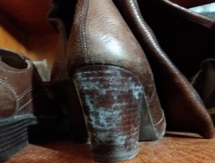 Como Combater Mofo no Inverno – Dicas para Evitar Alergias e Roupas Mofadas no Inverno