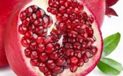Plantar Romã no Vaso – Dicas de Cultivo, Cuidados com Rega, Adubo, Benefícios